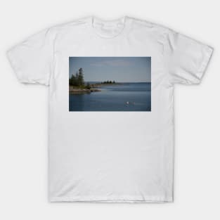 850_4734 T-Shirt